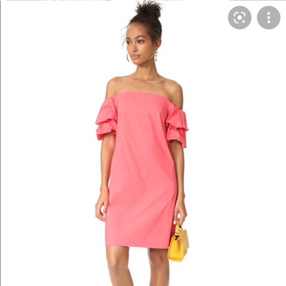 Off the shoulder dress with ruffle sleeve detail